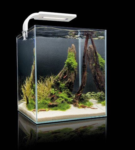 AquaEl Shrimp DAY&NIGHT akvárium készlet l fekete | INVITAL