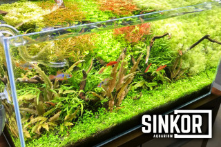 Sinkor LED II 60 cm WRB 20W vel Wifi LED Control
