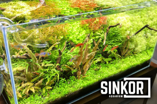 Sinkor LED WRB 60 akvárium világítótest, 60cm 20W