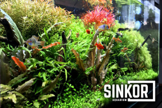 Sinkor LED WRB 60 akvárium világítótest, 60cm 20W