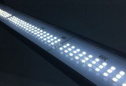 Sinkor LED